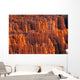 Rocky Canyon Wall Mural