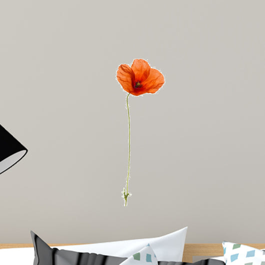 Poppy, isolated on white Wall Decal