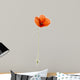 Poppy, isolated on white Wall Decal