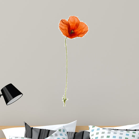 Poppy, isolated on white Wall Decal