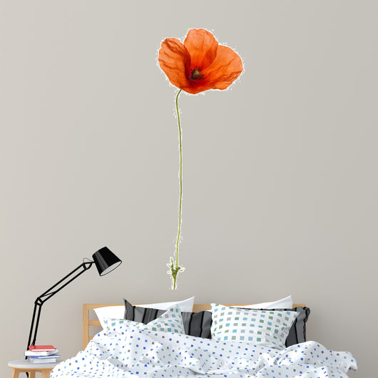 Poppy, isolated on white Wall Decal