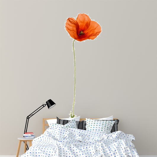 Poppy, isolated on white Wall Decal