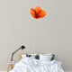 Poppy, isolated on white Wall Decal