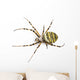 Wasp Spider Viewed from up High, Argiope Bruennichi, Isolated Wall Decal