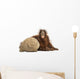 Young Bornean Orangutan Hugging Its Burlap Stuff Wall Decal