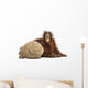 Young Bornean Orangutan Hugging Its Burlap Stuff Wall Decal