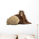 Young Bornean Orangutan Hugging Its Burlap Stuff Wall Decal