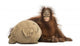 Young Bornean Orangutan Hugging Its Burlap Stuff Wall Decal