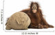 Young Bornean Orangutan Hugging Its Burlap Stuff Wall Decal