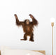 Young Bornean orangutan standing, reaching up, Pongo pygmaeus Wall Decal