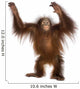 Young Bornean orangutan standing, reaching up, Pongo pygmaeus Wall Decal