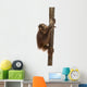 Side View of a Young Bornean Orangutan Climbing on a Tree Trunk Wall Decal