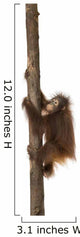 Side view of a young Bornean orangutan climbing on a tree trunk 