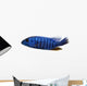 Side View of an Electric Blue Hap, Sciaenochromis Ahli, Isolated Wall Decal
