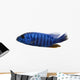 Side View of an Electric Blue Hap, Sciaenochromis Ahli, Isolated Wall Decal