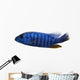 Side View of an Electric Blue Hap, Sciaenochromis Ahli, Isolated Wall Decal
