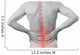 Pain in the lower back in men 