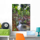 Rain forest Wall Mural