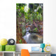 Rain forest Wall Mural