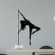 woman pole dancer silhouette 