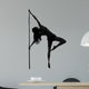 woman pole dancer silhouette 