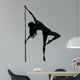 woman pole dancer silhouette 