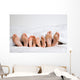 Feet family 