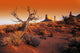 Dead Tree In Desert Monument Valley Of America Wall Mural