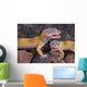 Laughing Geckos Wall Mural