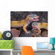 Laughing Geckos Wall Mural