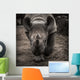rhinoceros 