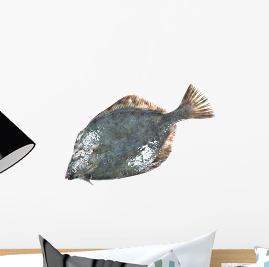Flounder Wall Decal