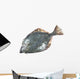 Flounder Wall Decal