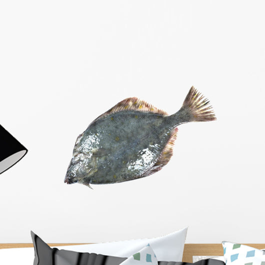 Flounder Wall Decal
