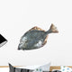 Flounder Wall Decal