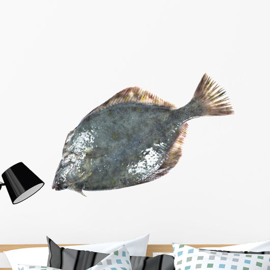 Flounder Wall Decal