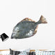 Flounder Wall Decal