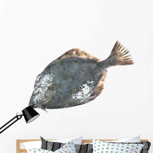 Flounder Wall Decal