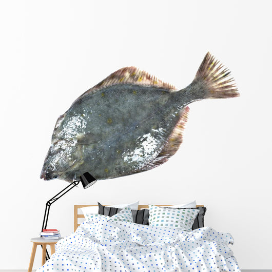 Flounder Wall Decal