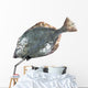 Flounder Wall Decal