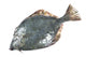 Flounder Wall Decal