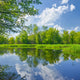 Sunny spring landscape by The Narew River. 