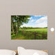 Green spring landscape 