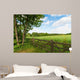Green spring landscape 