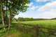 Green spring landscape 