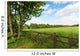 Green spring landscape 