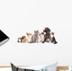 Cats and Dogs in White Background Wall Mural