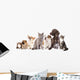 Cats and Dogs in White Background Wall Mural