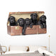 Labrador Puppies Sitting in a Retro Suitcase 