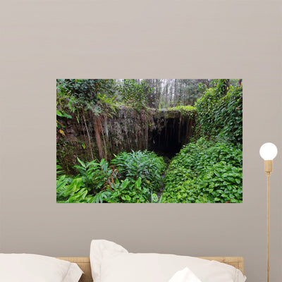 Entrance One Two Kaumana shown on a wall